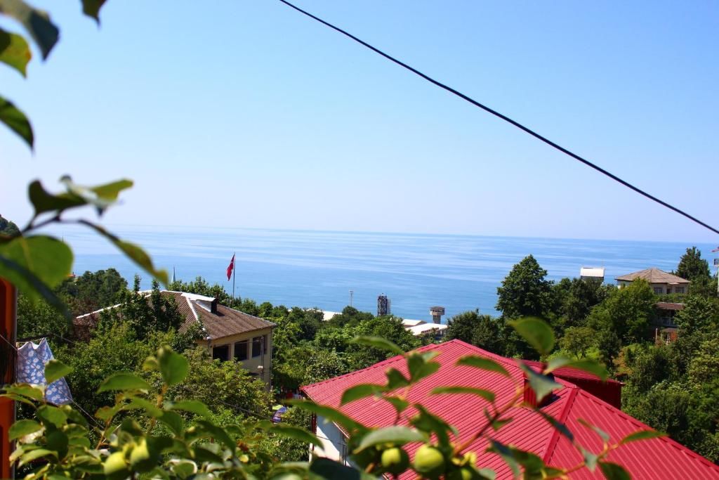 Хостелы Guest House Lazika Сарпи